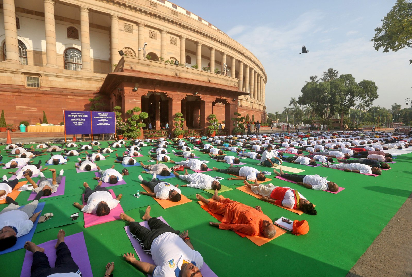 International_Yoga_Day_Photos23.jpg