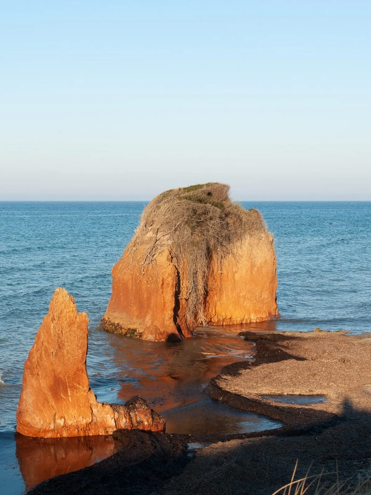 Vegetação mediterrânea na reserva de Torre Guaceto
