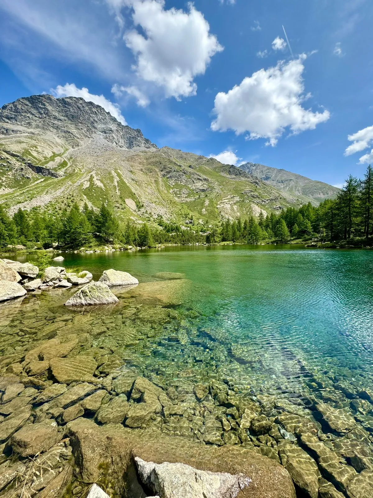 Paisagem verde do Val Grosina na Valtellina