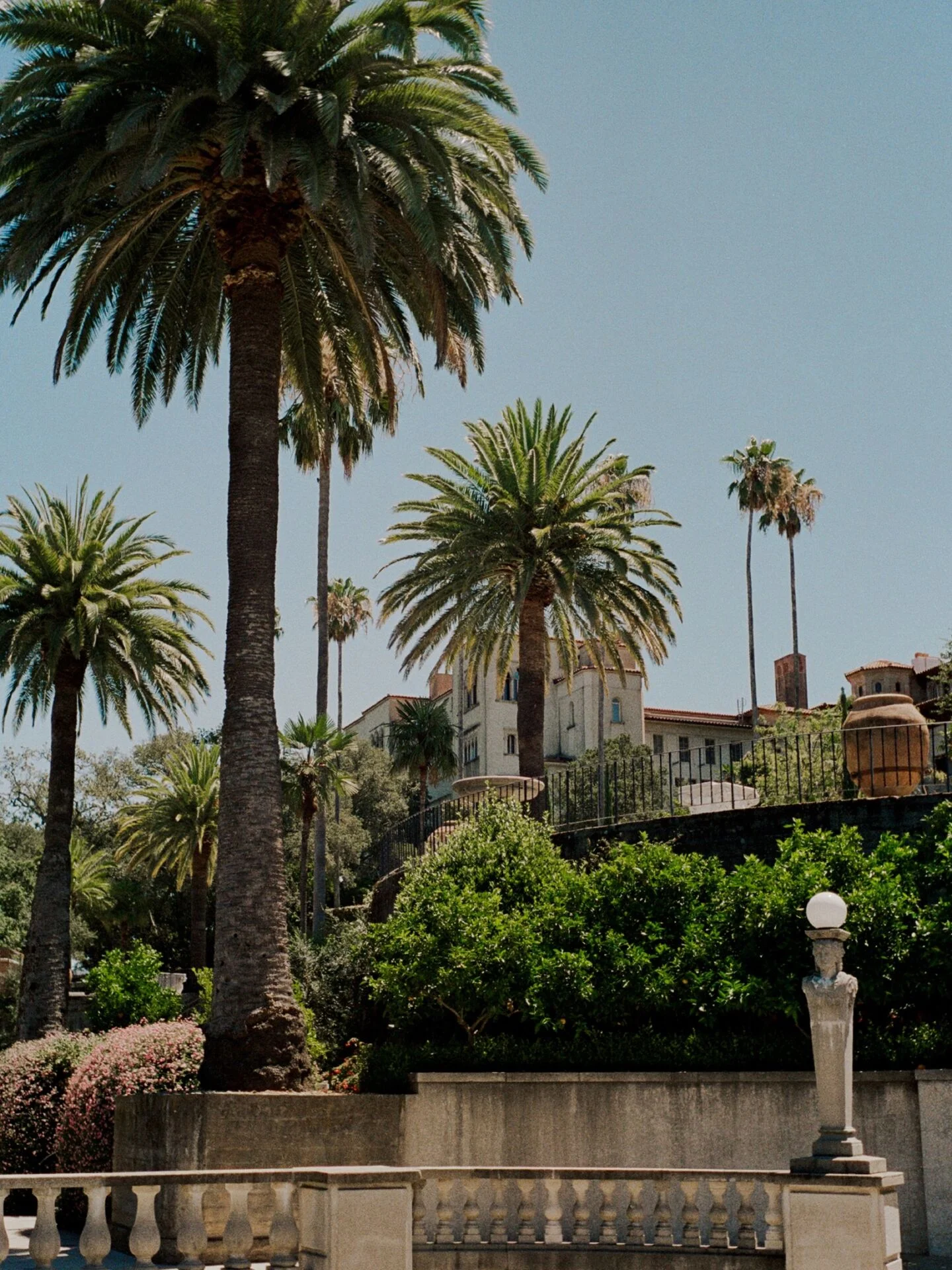 Palmeiras e as torres da Casa Grande, no Hearst Castle