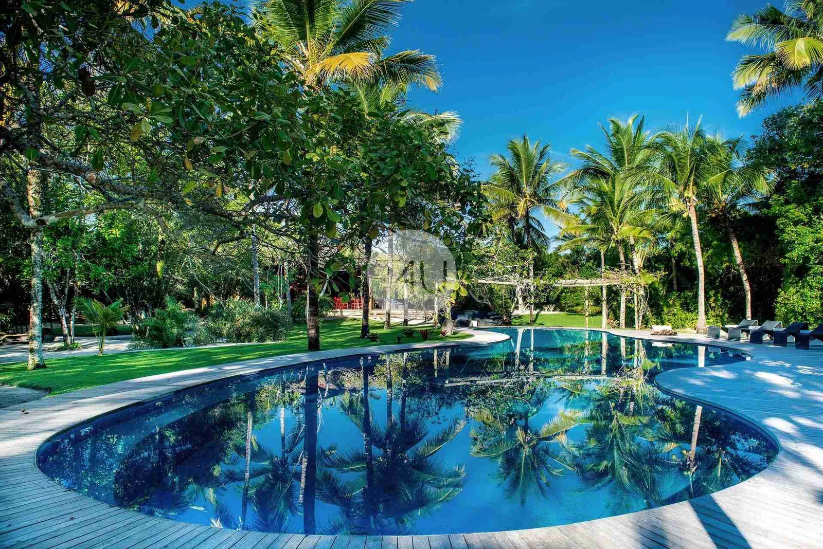 Piscina sinuosa entre palmeiras na Villa 21