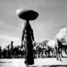 Imagens da exposição A Elegância do Olhar, de Sebastião Salgado e Mirella Ricciardi