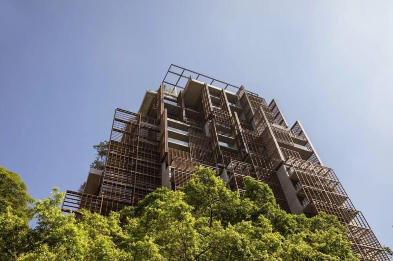 A Torre Mata Atlântica, de Jean Nouvel, vista de baixo, com as treliças de madeira da fachada acima das copas das árvores