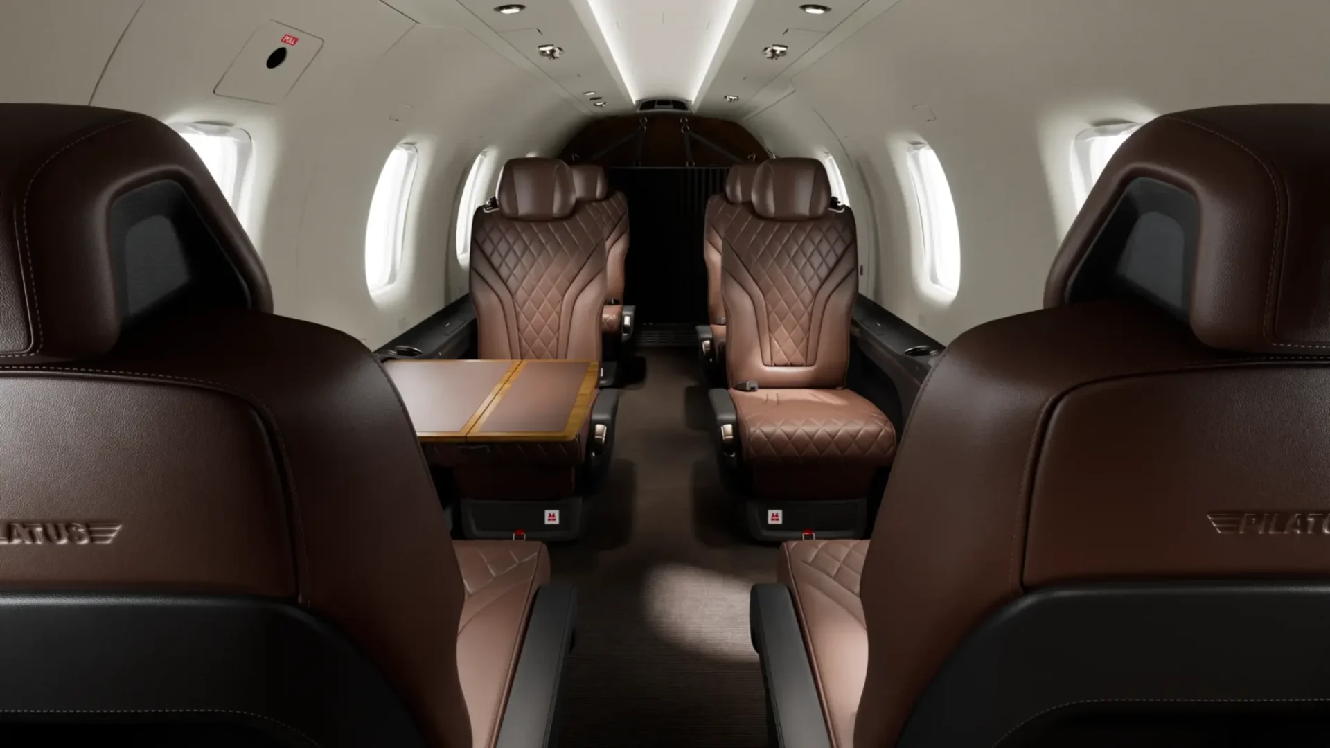 Cabine do PC-12 PRO na paleta Savannah