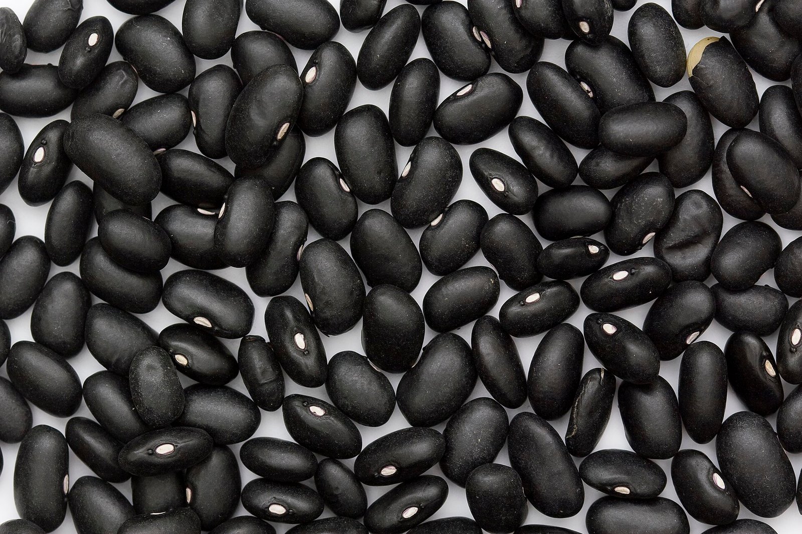 Grãos de feijão preto