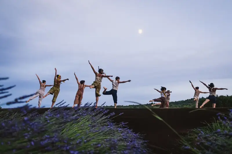 Bailarinos de Angelin Preljocaj num campo de lavanda na Provence