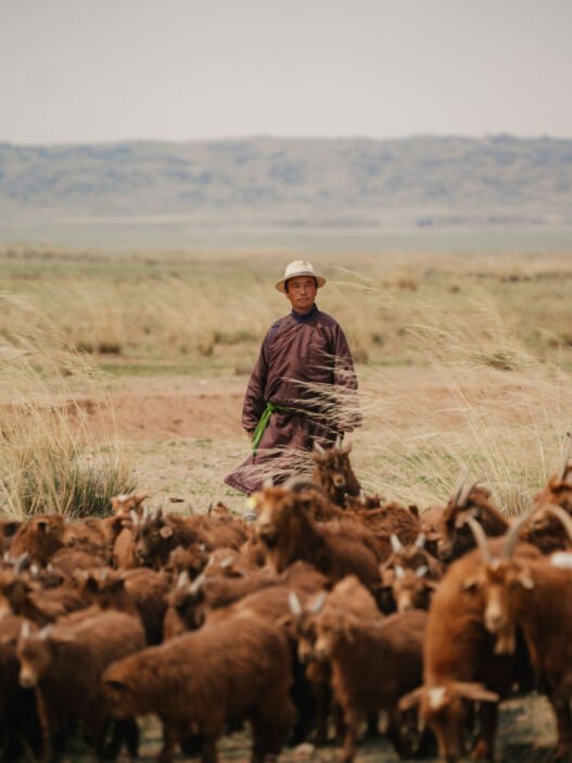 Pastor conduz rebanho de cabras nas estepes da província de Sukhbaatar, na Mongólia